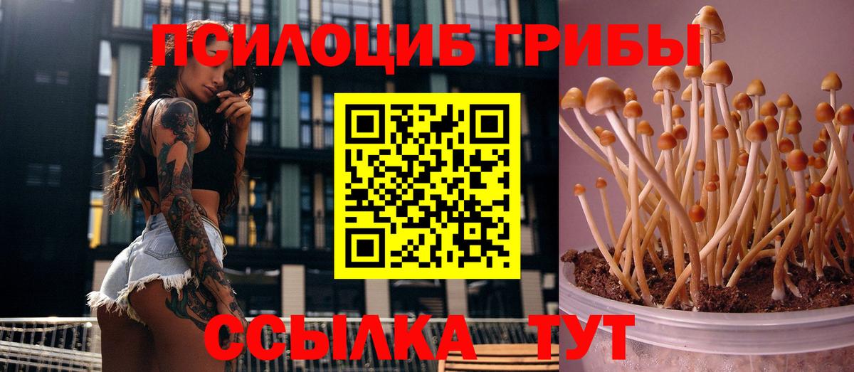 Галлюциногенные грибы Cubensis Батайск