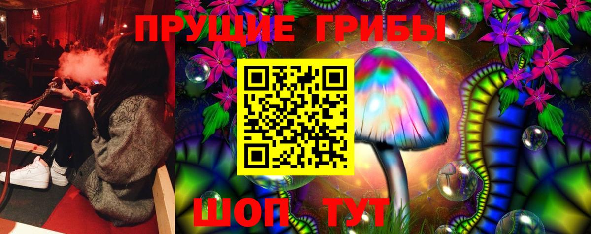 хочу   Вход с VPN  Батайск  Псилоцибиновые грибы мухоморы  Псилоцибиновые грибы мухоморы 
